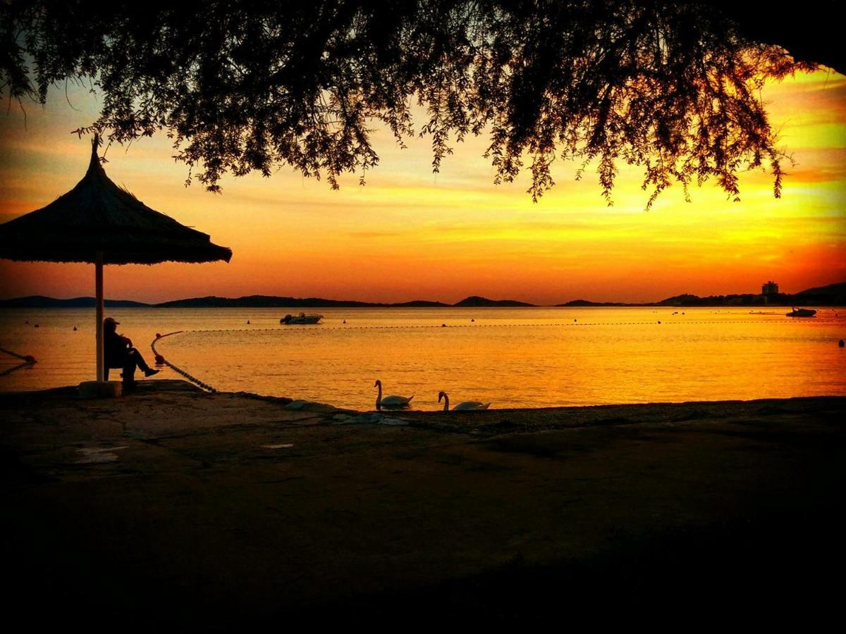 Oliva * Vodice